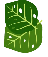 Left plants