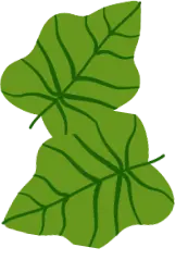 Right plants