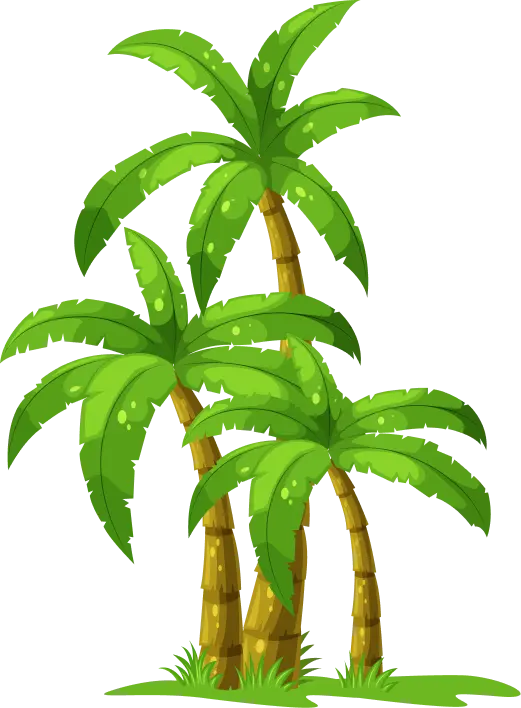 Reels palms